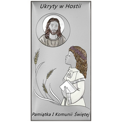 Obrazek Srebrny Pamiątka I Komunii dla dziewczynki prostokąt z podpisem DS136CA